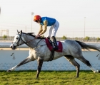 r7-haunted-dream-al-safliya-cup-2