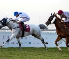 r9-al-sij-al-sakab-the-late-shk-jassim-bin-mohammed-trophy-5