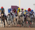 al-shahania-cup