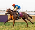 r10-supercooled-qatar-derby-1