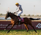 r8al-wakrah-hh-sheikh-abdullah-bin-khalifa-al-thani-cup-5