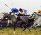 r9-al-zeer-qatar-national-derby-4