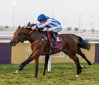 r9-warmingqatar-oaks-tb-3