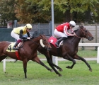 Arrivo del Premio Chiusura all’Ippodromo Snai San Siro vinto da Anche Meno 23 11 2024