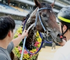 this-year-all-eyes-are-on-global-hit-who-has-assumed-the-mantle-of-best-horse-in-korea