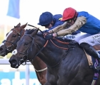 Kind Of Blue (James Doyle) wins the QIPCO British Champions Sprint Stakes at Ascot Racecourse 19.10.24 