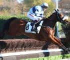 isaline-de-chandou-al-via-il-24-10-2024-ad-auteuil-fra