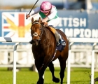 kalpana-won-the-british-champions-fillies-mares-stakes-ascot-uk-19-10-2024