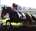 le-tieps-sacre-arqana-30-10-2024