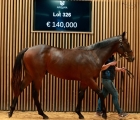 lot-326-c-hello-youmzain-x-eau-vive-arqana-23-10-2024