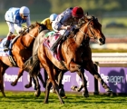 unquestionable-breeders-cup-juvenile-turf-gr-1-arqana-19-20-2024