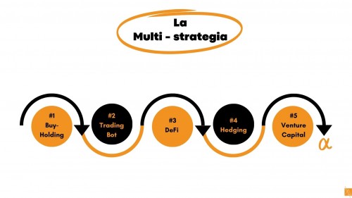 La Multi - Strategia